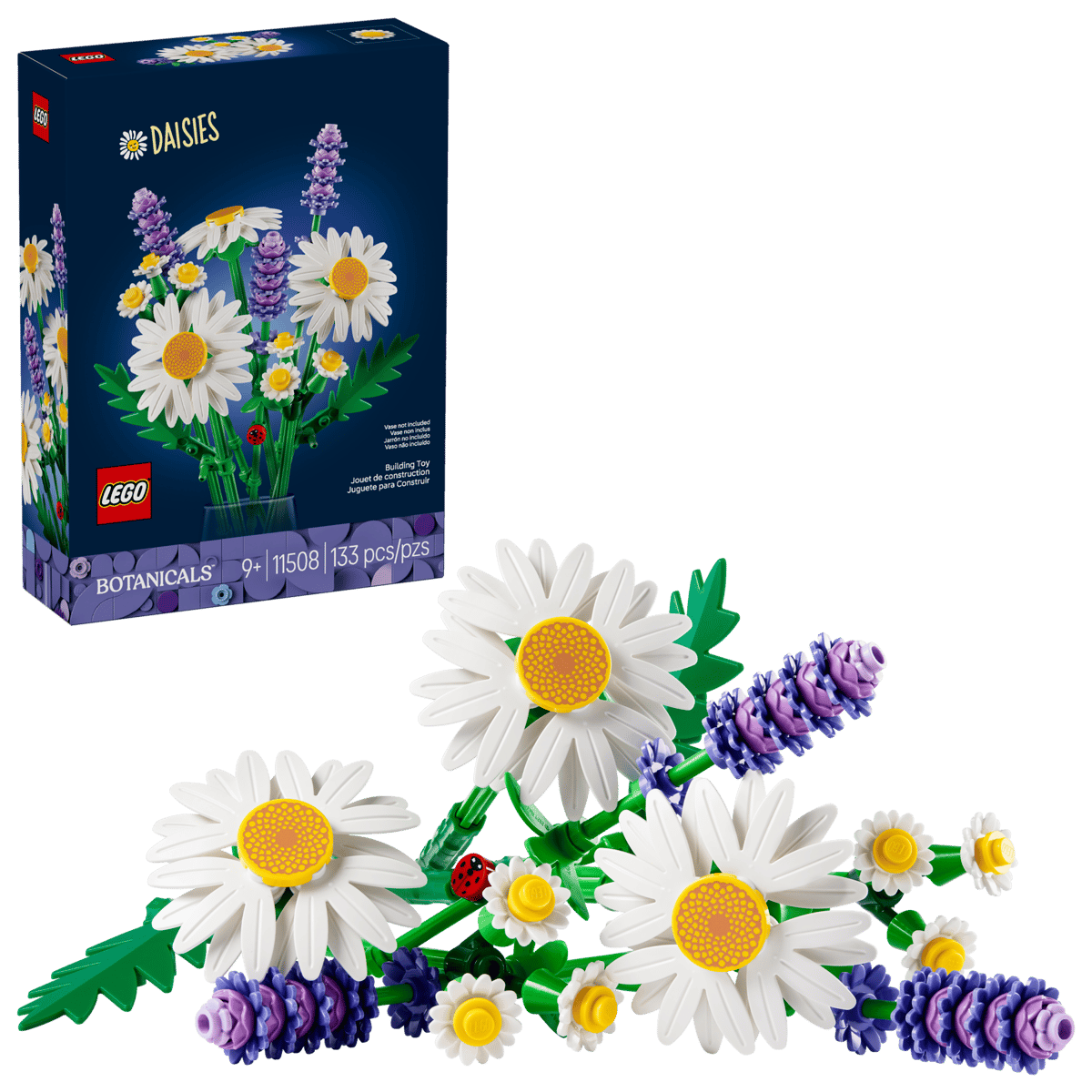 11508 Daisies