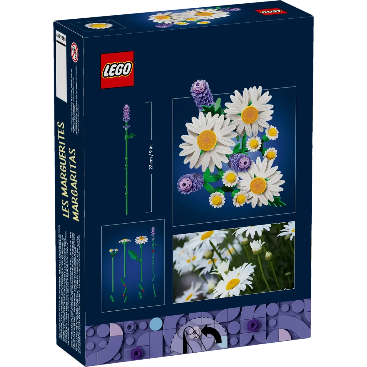 11508 Daisies