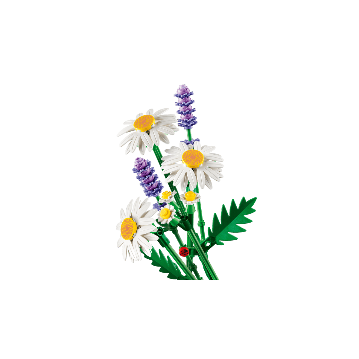 11508 Daisies