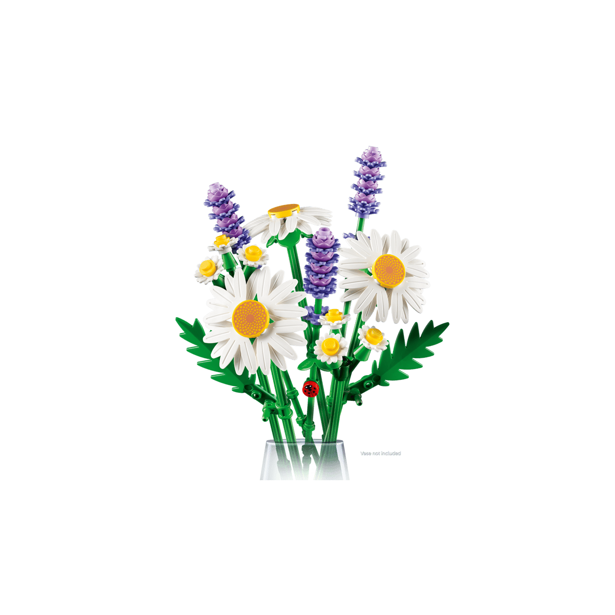 11508 Daisies