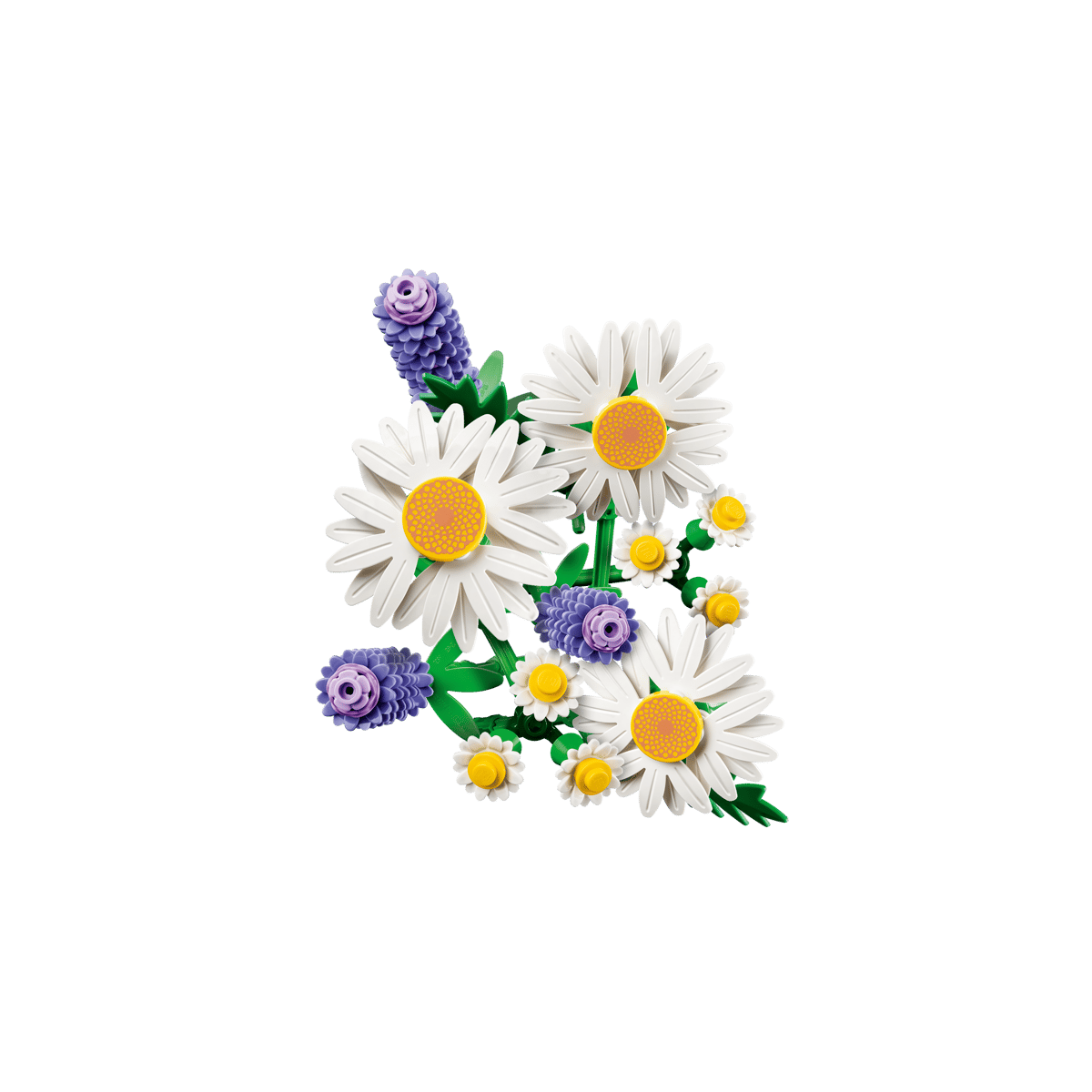 11508 Daisies