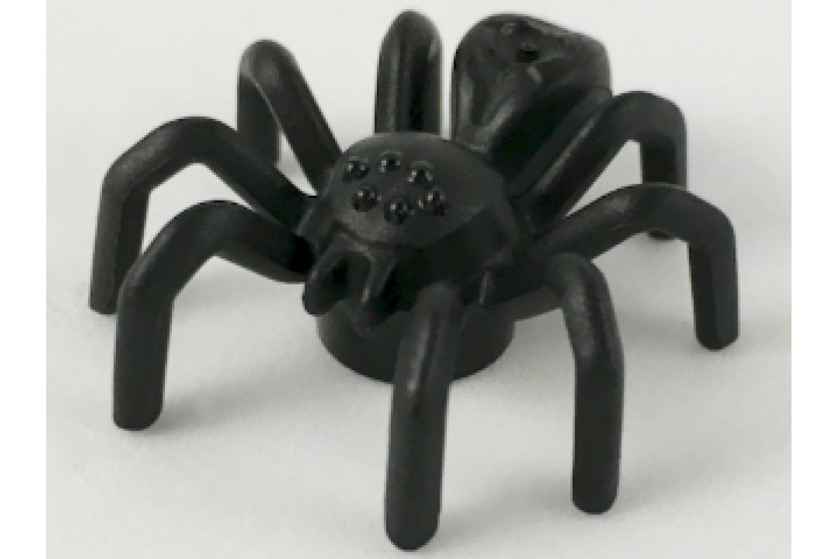 Spider with Elongated Abdomen Black