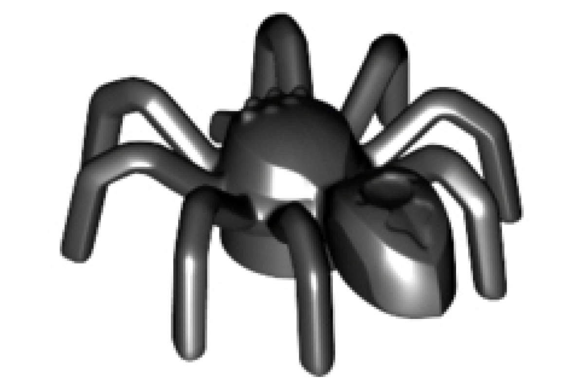 Spider with Elongated Abdomen Black