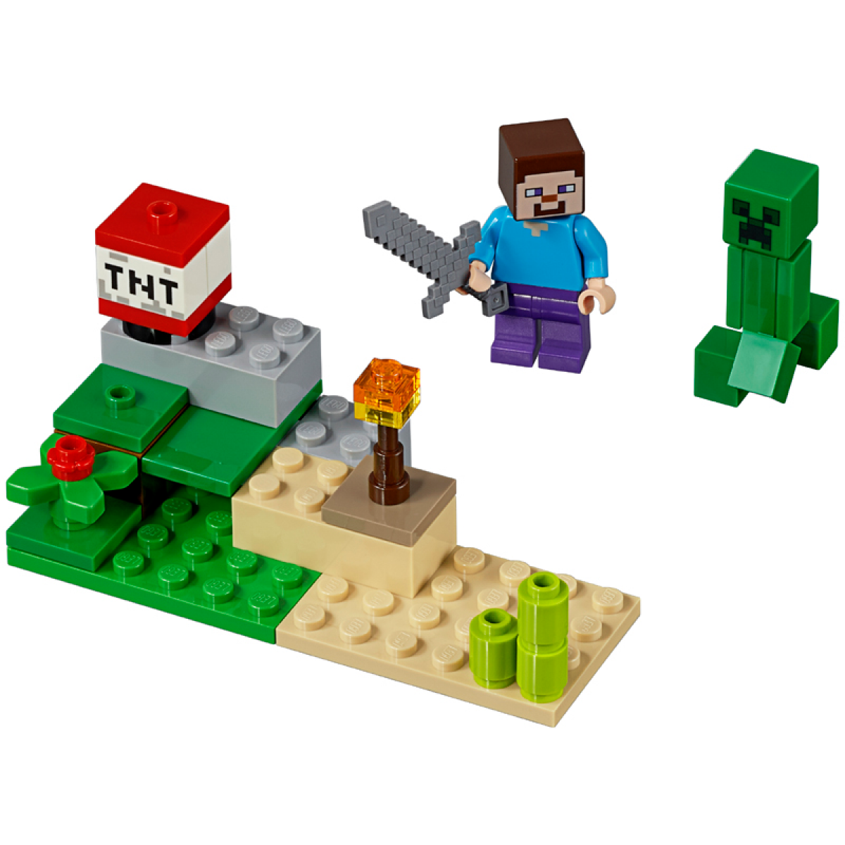 30393 Steve and Creeper