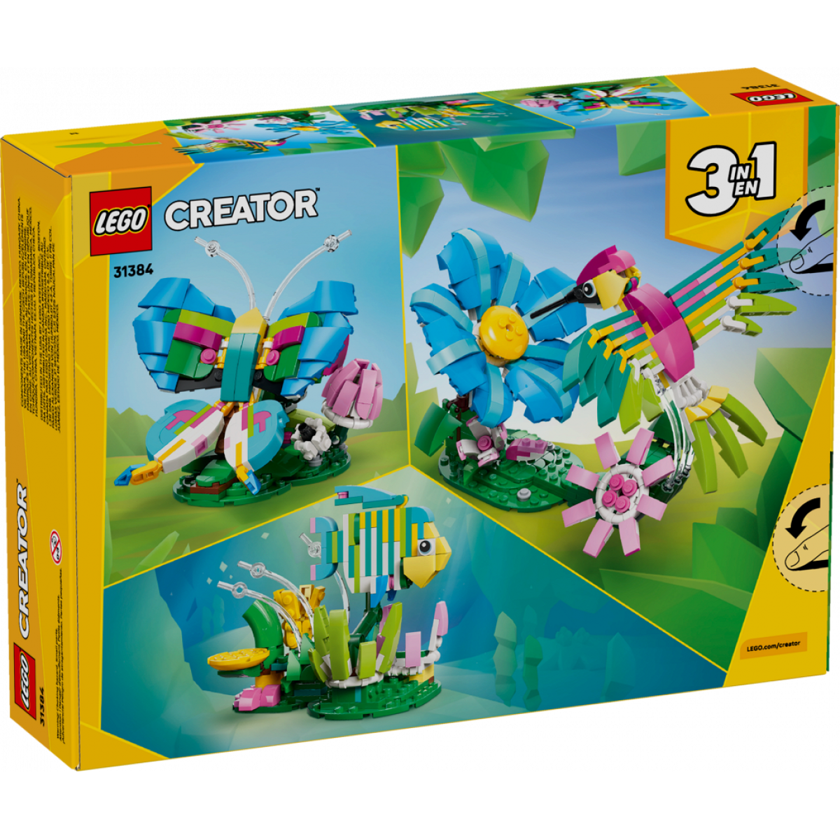 31384 Colourful Hummingbird