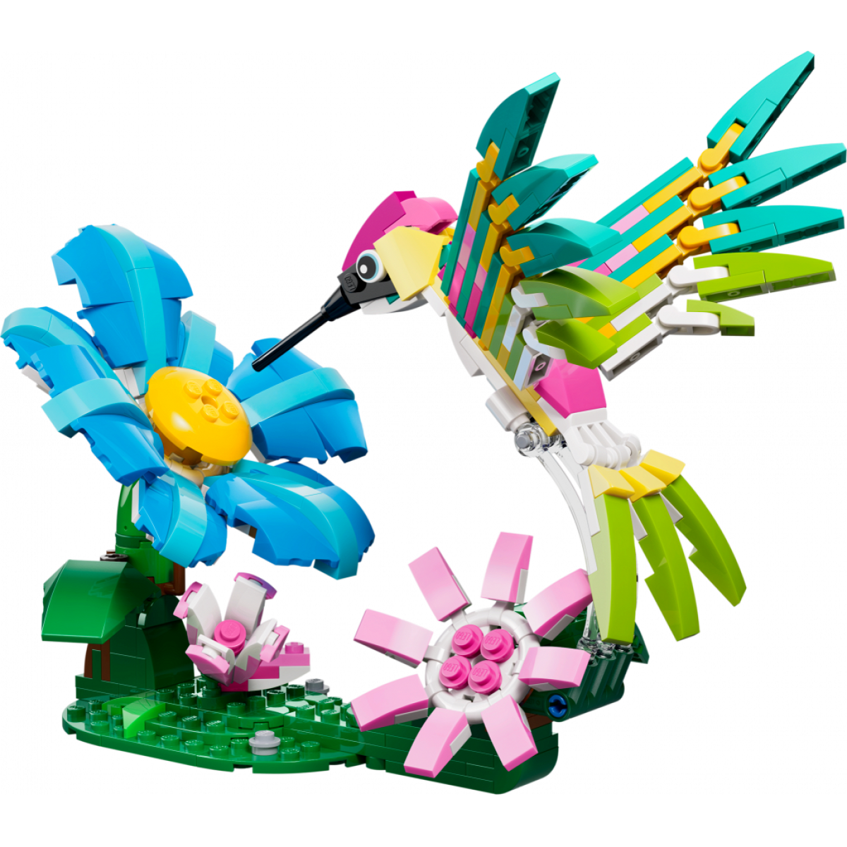 31384 Colourful Hummingbird