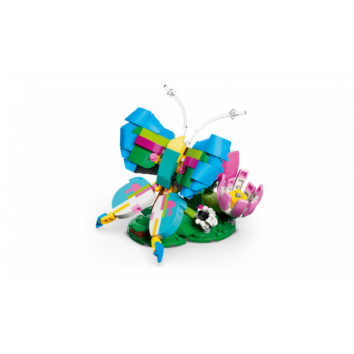 31384 Colourful Hummingbird