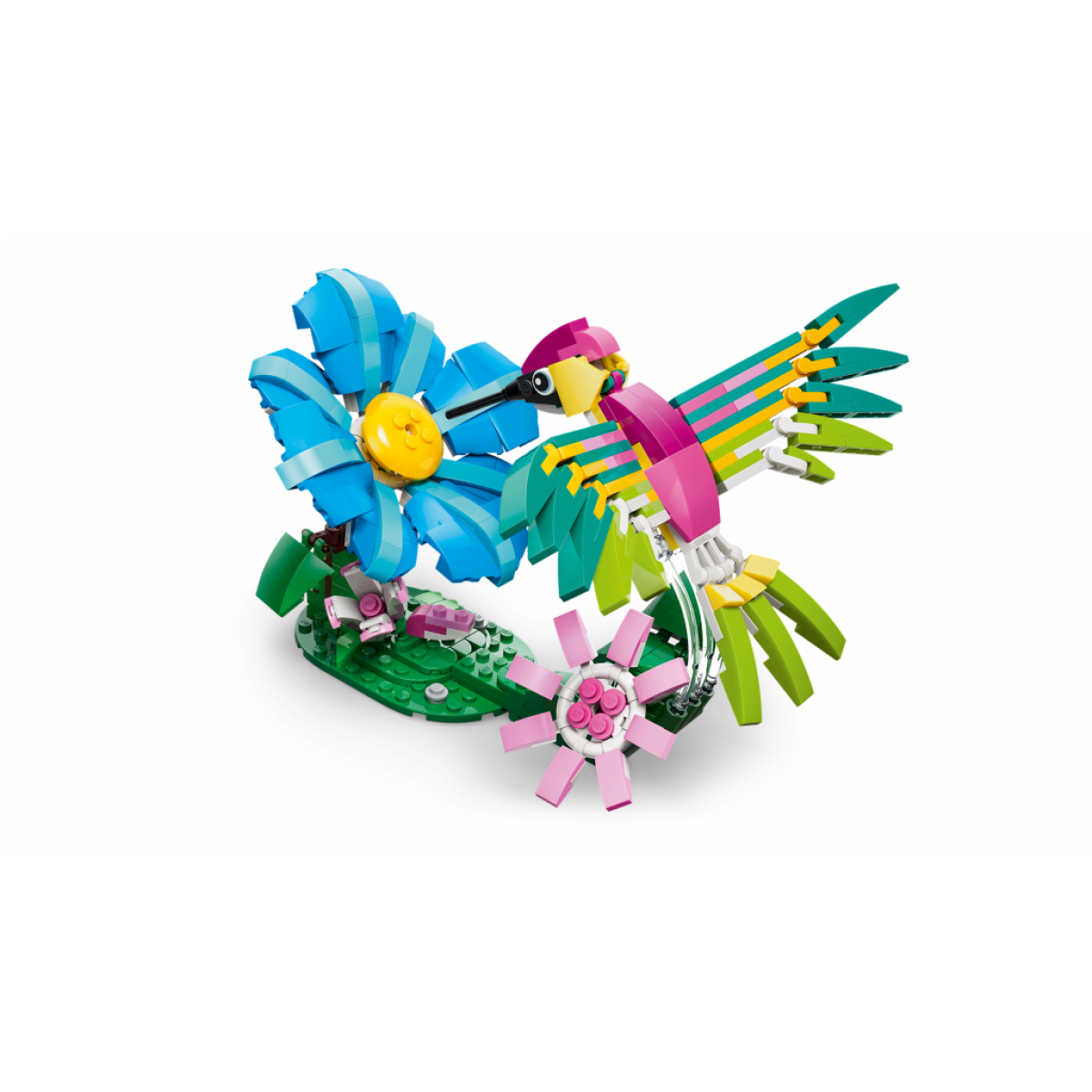 31384 Colourful Hummingbird