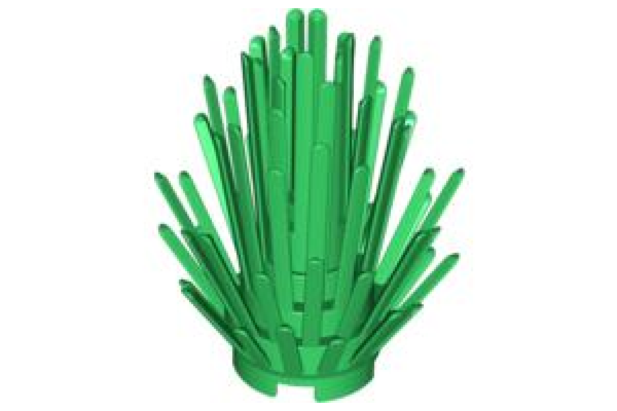 Plant Prickly Bush 2 x 2 x 4 Green