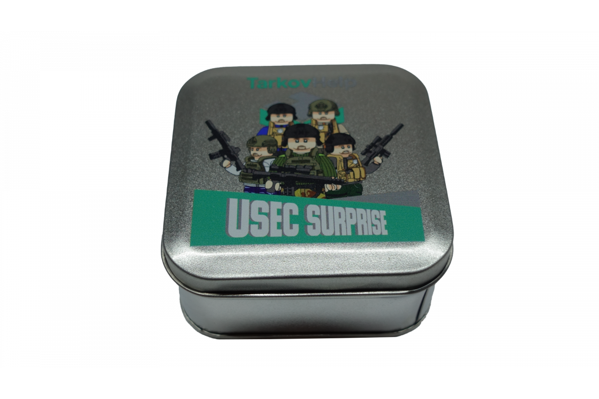 USEC Surprise | One Random Minifigure