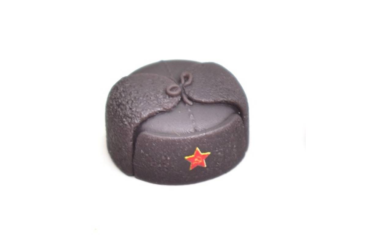 Cap with earflaps brown with a star