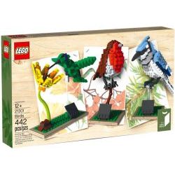 21301 Птицы
