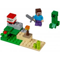 30393 Steve and Creeper