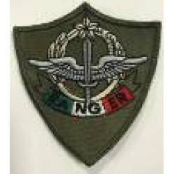 Monte Cervino v2 - Italian Alpini Light Infantry Battalion Body