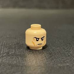 Custom Printed Head v12