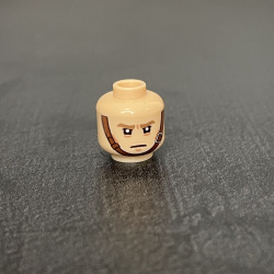 Custom Printed Head v34